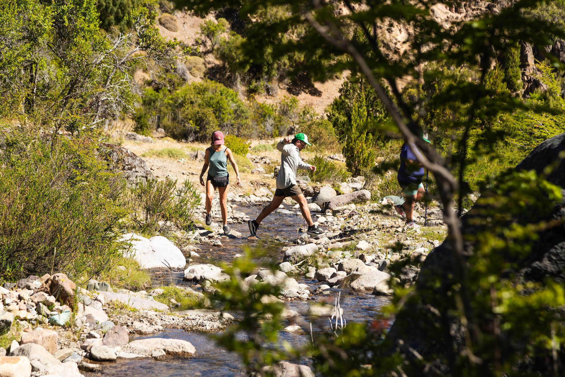 Grupo cruzando un arroyo durante la caminata por el Parque Nacional Los Alerces